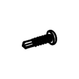 Screw